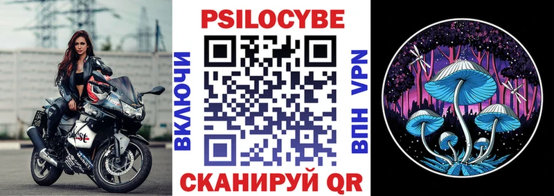 где найти наркотики  Вязьма  нарко площадка какой сайт  Псилоцибиновые грибы GOLDEN TEACHER 